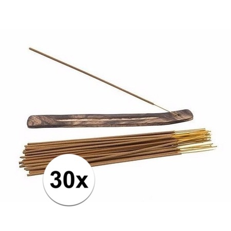 Citronella incense sticks with holder - 30x incense - lemon scent