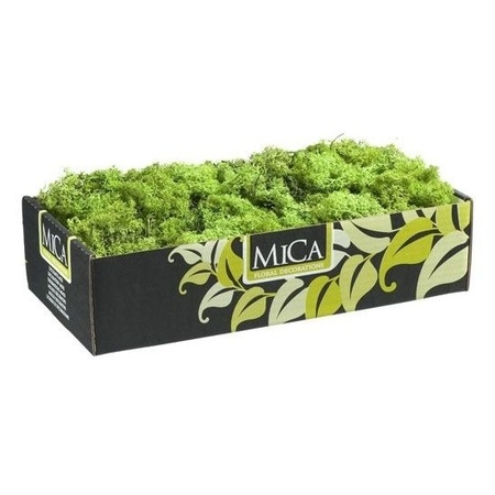 Decorative/hobby moss green 500 gram