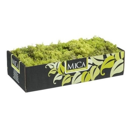 Decorative/hobby moss light green 500 gram