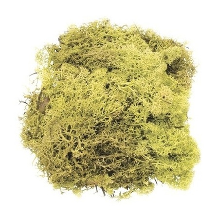 Decoratie mos lichtgroen 50 gram