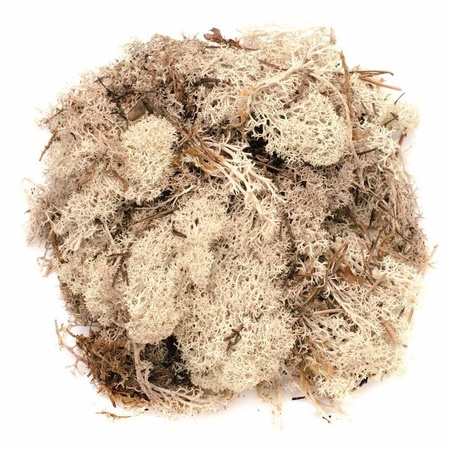 Decoration mos natural 50 grams