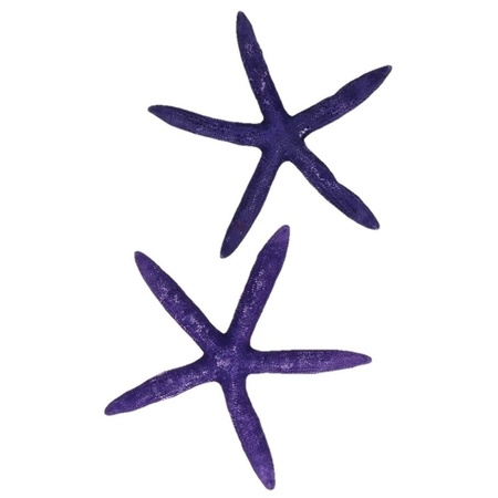 Decorative purple starfish 2 pieces