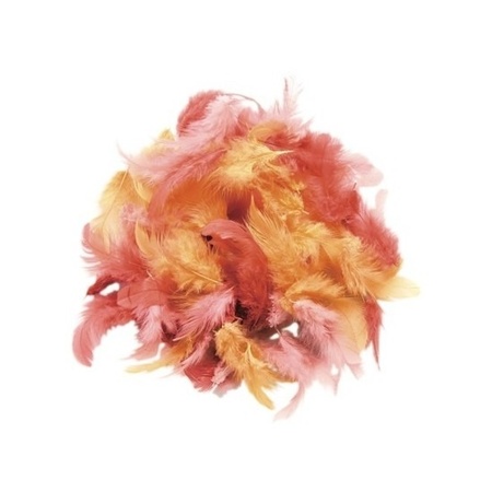 Decoratiom feathers red shades 10 grams