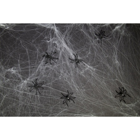 Decoratie spinnenweb 20 gram