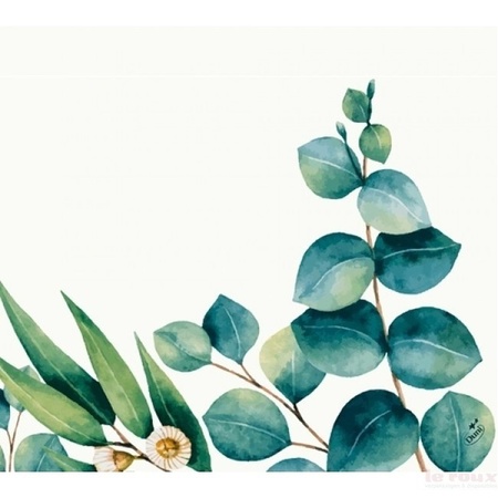 Design servetten Eucalyptus - 20x - wit/groen - 33 x 33 cm