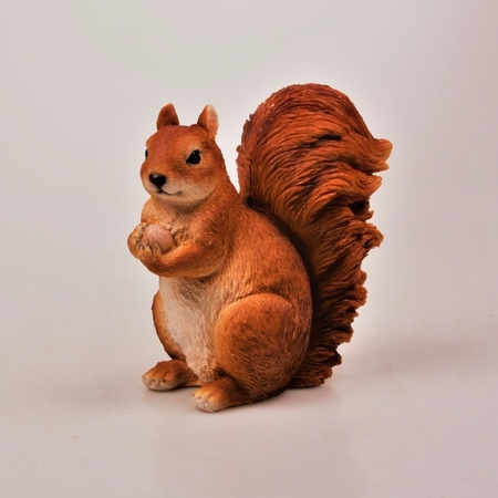 Dieren beeldje van een eekhoorn 17 x 12 x 23 cm