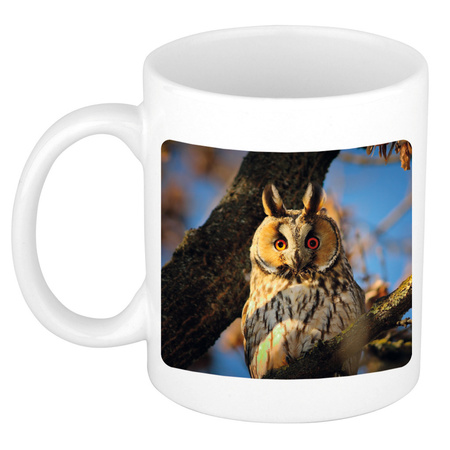 Animal photo mug long eared owls 300 ml