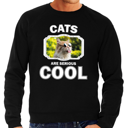Dieren gekke poes sweater zwart heren - cats are cool trui