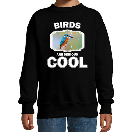 Animal kingfisher birds are cool sweater black for children