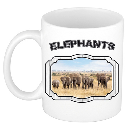 Dieren kudde olifanten beker - elephants/ olifanten mok wit 300 ml  