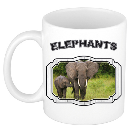 Dieren olifant met kalf beker - elephants/ olifanten mok wit 300 ml  