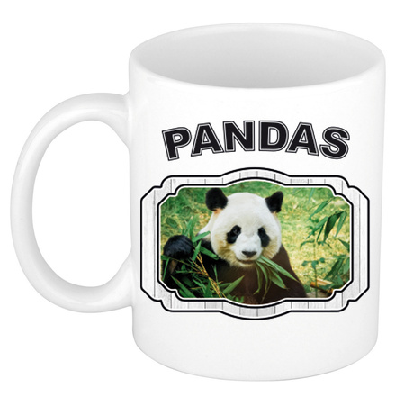 Dieren panda beker - pandas/ pandaberen mok wit 300 ml  