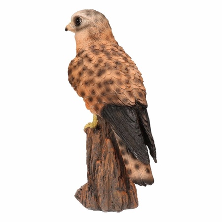 Dierenbeeld torenvalk roofvogel 22 cm