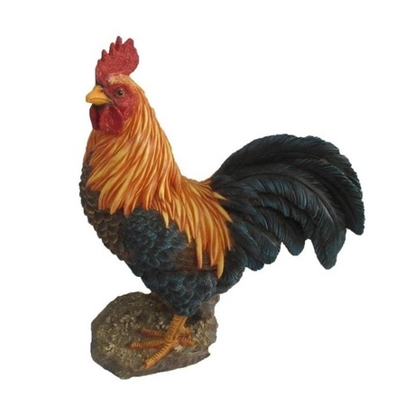 Animal statue rooster 25 cm
