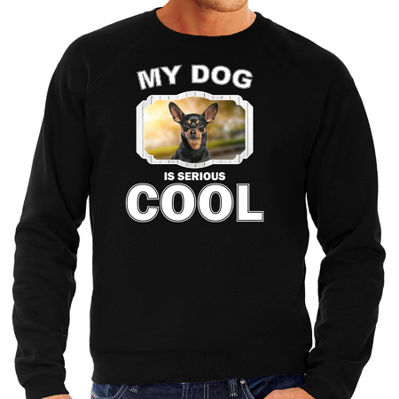 Dwergpinscher honden sweater / trui my dog is serious cool zwart voor heren