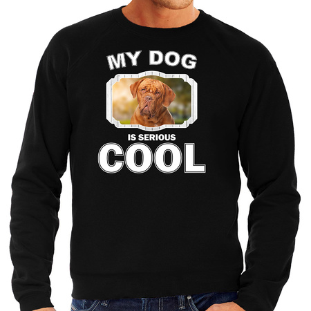 Franse mastiff honden sweater / trui my dog is serious cool zwart voor heren