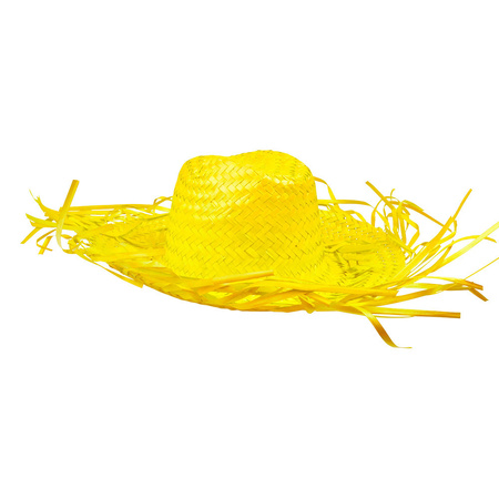 Toppers - Colored straw hat with broad rim for ladies