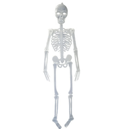Glow in the dark hagend decoratie skelet 150 cm