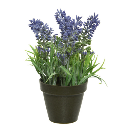 Groen/paarse Lavendula/lavendel kunstplant 17 cm in zwarte pot