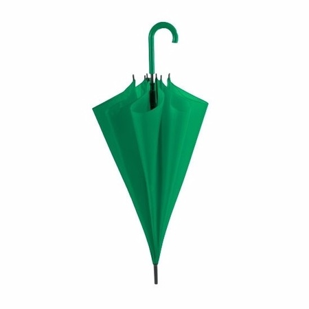 Groene automatische paraplu 107 cm