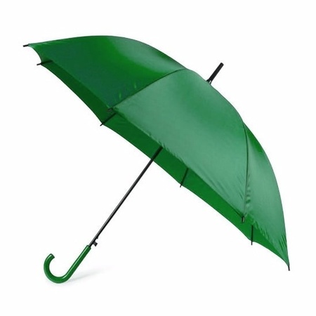 Green automatic umbrella 107 cm