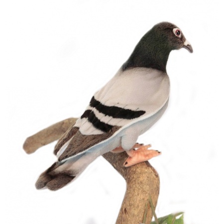 Plush pigeon 29 cm