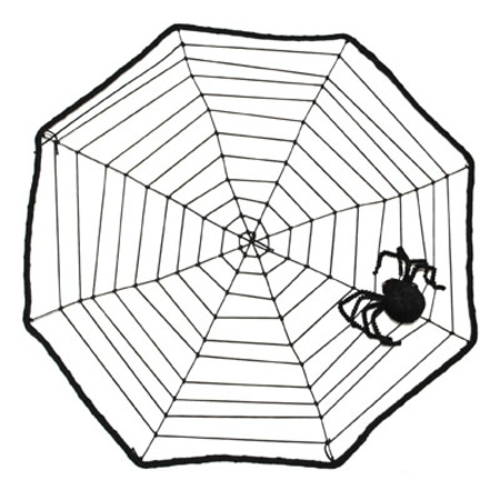 Horror spinnenweb met spin 40 x 40 cm