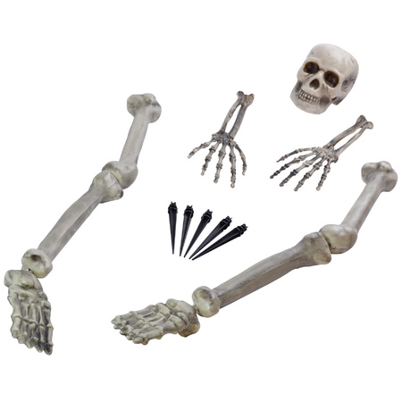 Horror thema kerkhof decoratie skelet/botten set
