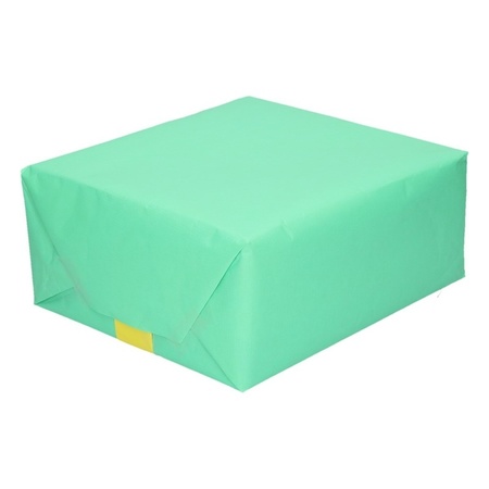 Inpakpapier/cadeaupapier dubbelzijdig mint groen/lime geel 200 x 70 cm