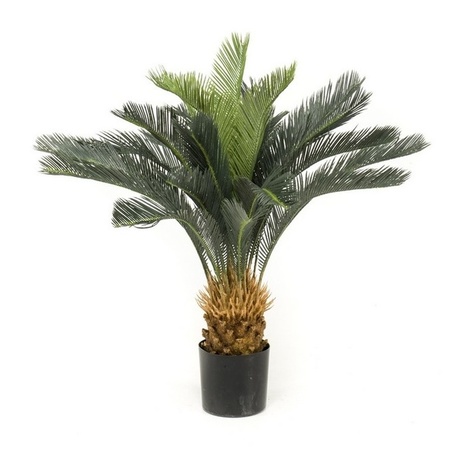 Officeplant artificial green Cycas revoluta/sago palm in pot