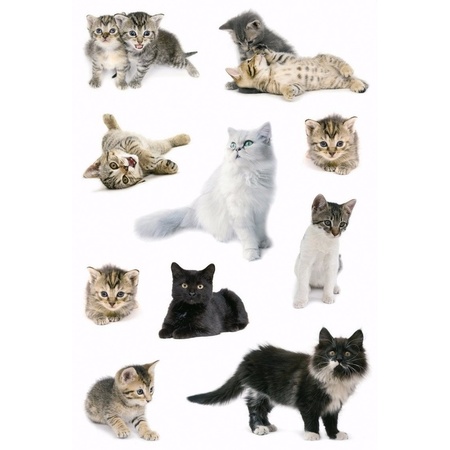 Cat stickers 3 sheets