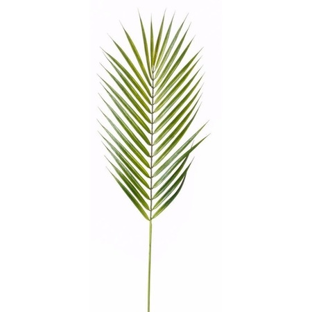 Chamaedorea palm leaf 75 cm