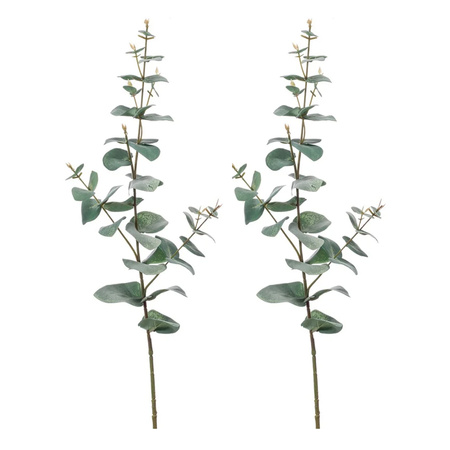 Kunstplant Eucalyptus - groen -  takken - hangplant - 68 cm