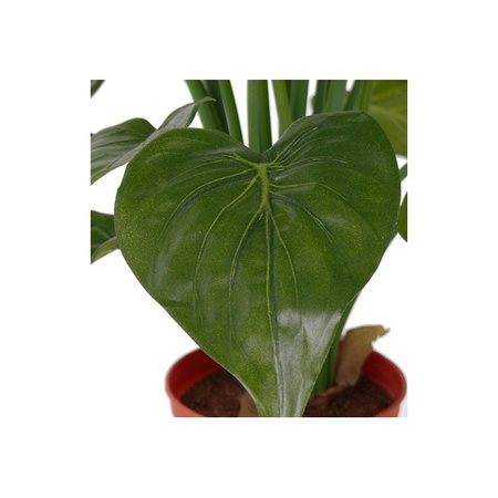 Kunstplanten alocasia olifantsoor groen 51 cm