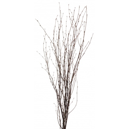2x Grove brown Easter branches 75 cm birch/artificial branches