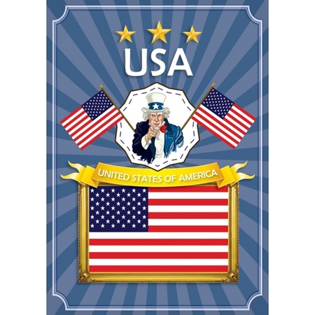 American elections decoration package