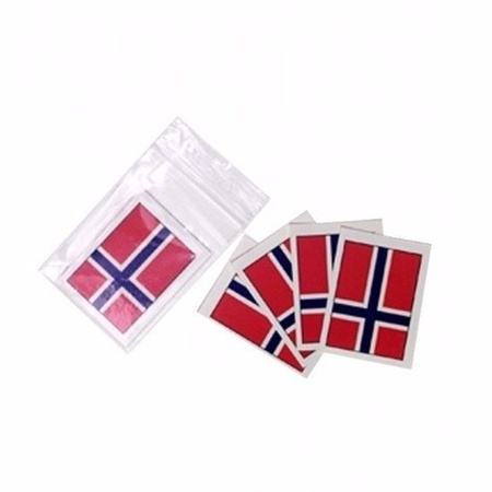 Landen vlag tattoo Noorwegen
