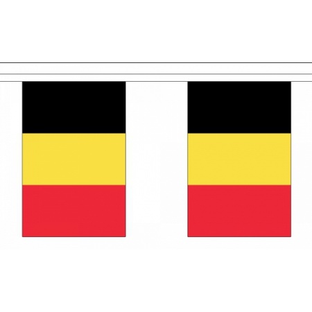 Luxe Belgie vlaggenlijn 9 m