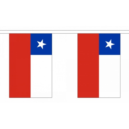 Luxe Chili vlaggenlijn 9 m