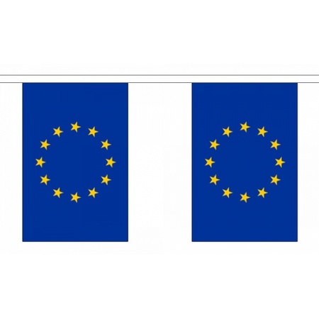 Luxe Europese uni vlaggenlijn 9 m