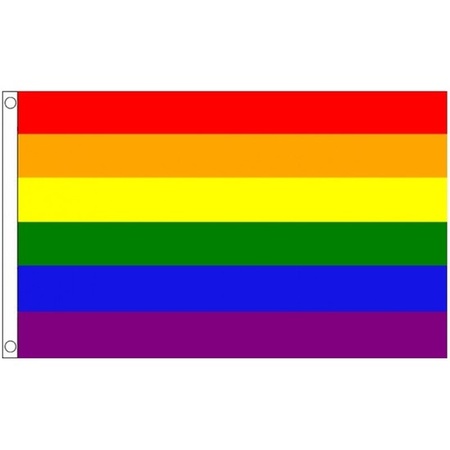 Luxe kwaliteit Regenboog LGBT vlag 89 x 148 cm
