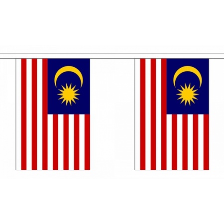 Luxe Maleisie vlaggenlijn 9 m