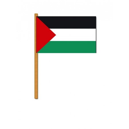 Luxe hand flag Palestine 30 x 45 cm