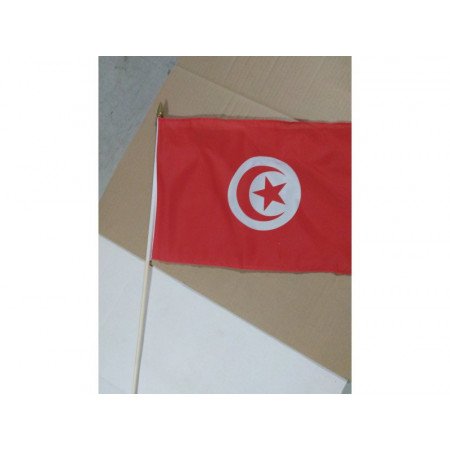Luxe hand flag Tunisia