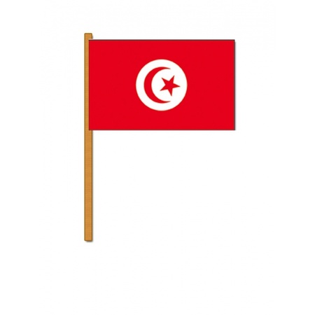 Luxe hand flag Tunisia