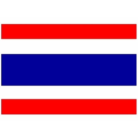 Mini flag Thailand 60 x 90 cm
