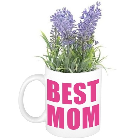 Moederdag Best mom mok met lavendel kunst plantje