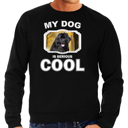 Newfoundlander  honden sweater / trui my dog is serious cool zwart voor heren