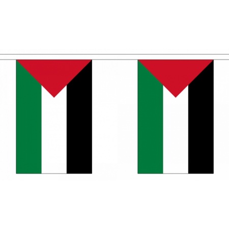 Palestine bunting 9 m