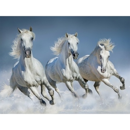 Placemat horses 3D 30 x 40 cm